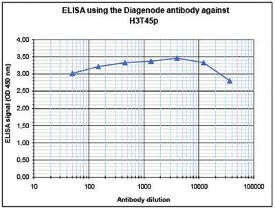 ELISA: Histone H3 [p Thr45] Antibody [NBP2-62795]
